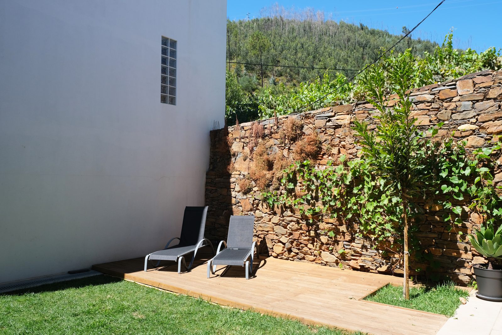 Jardim